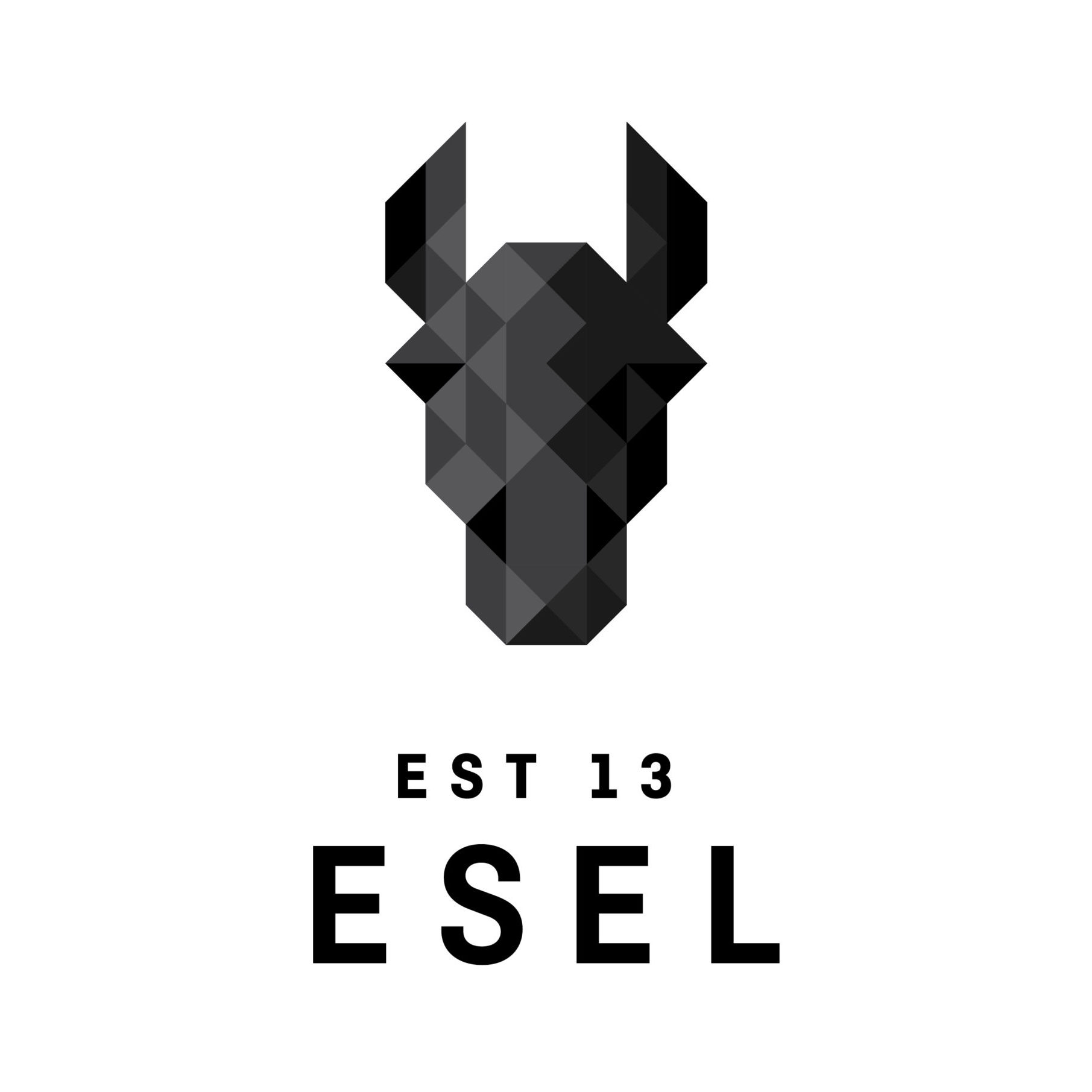 Logo von MyEsel - Holzfahrrad